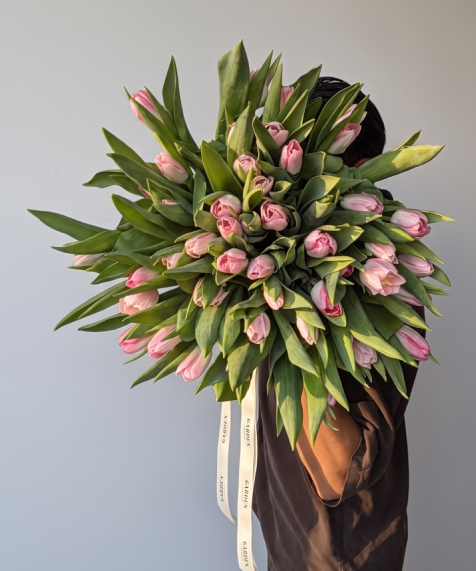 Soft Pink Classic Tulips