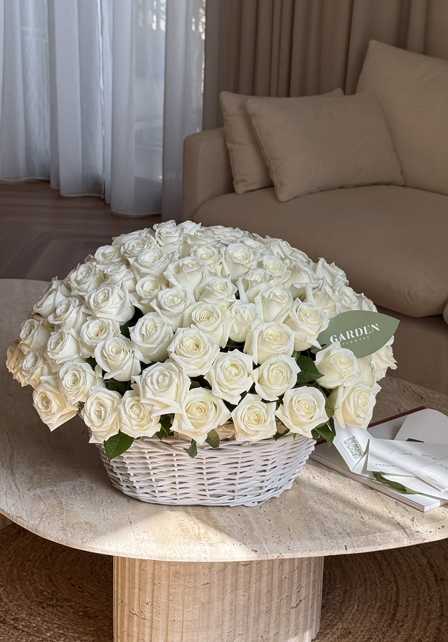 Classic White Roses