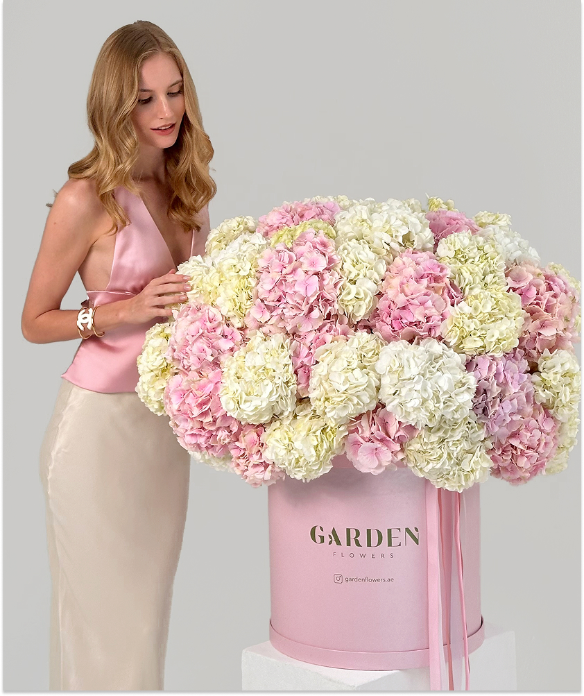 Cloud of Hydrangea Box