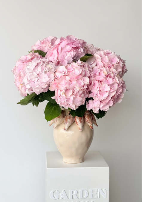 Hydrangea PINK Bouquet
